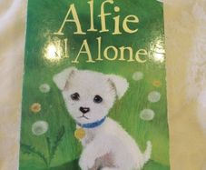 Alfie all alone kids book