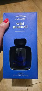 Room diffuser