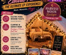 Electric Picnic