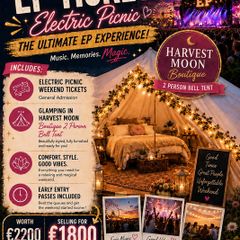 Electric Picnic