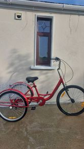 Adults trike