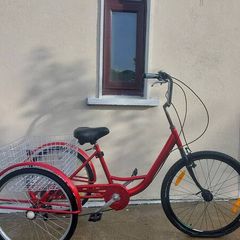 Adults trike