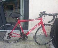 Carrera Zelos Road Bike