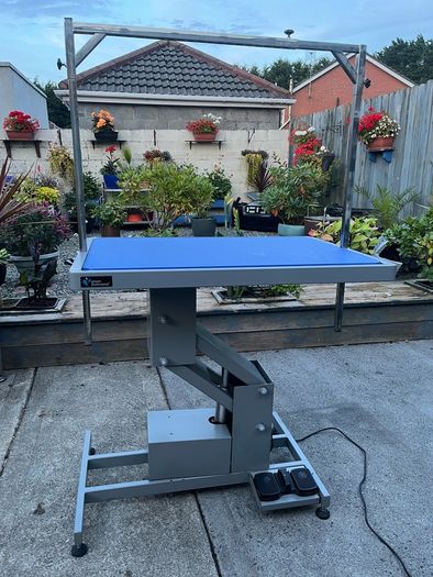 Groom Professional Plata Electric Dog Grooming Table