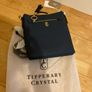 Tipperary crystal crossbody bag Image 3