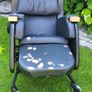CareFlex Mobility/Recliner Chair Image 3