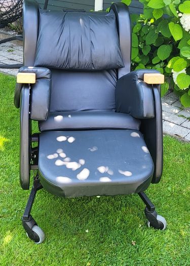 CareFlex Mobility/Recliner Chair