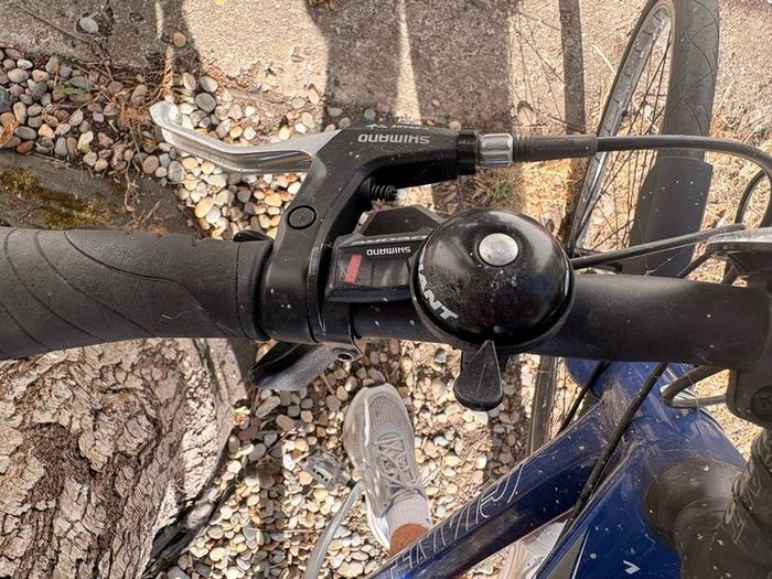 Giant Escape Road Bike