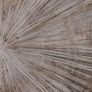 Canvas Art 'Starburst' Image 2