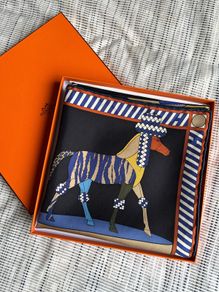 Absolutely Stunning Hermes scarf