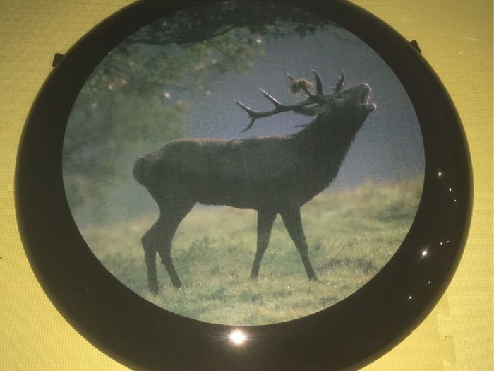 Centre disc for 4x4 Stainless Steel spare wheel cover