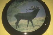 Centre disc for 4x4 Stainless Steel spare wheel cover
