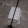 Walking stick Image 3