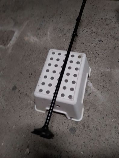 Walking stick