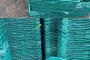 storage stacking crates / boxes/ baskets   1e each