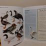 The Big Book Of Animals, Children,s Encyclopedia book Image 10