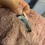 Harmont & Blaine furry coat girl 12-24m Image 7