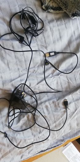 Samsung charger and  earphones
