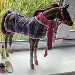 Our generation horse