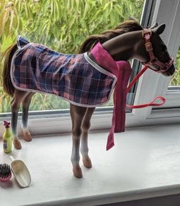 Our generation horse