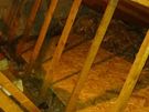 service Handyman in all jobs, good experience in all house mattenes Image 4