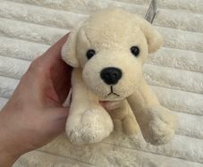 Zaks plush puppy Labrador approx. 18cm length 32100 Used Please see photos