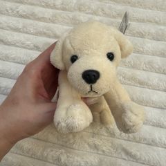 Zaks plush puppy Labrador approx. 18cm length 32100 Used Please see photos