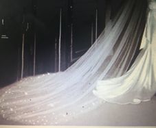 Cathedral Length Crystal Veil With Comb