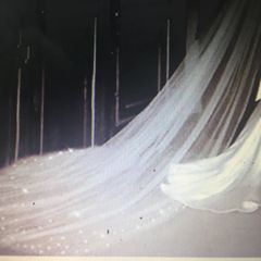 Cathedral Length Crystal Veil With Comb