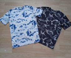 Reebok & North Face T-shirt Bundle