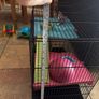 Humster Cage Image 3