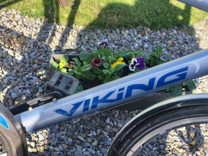 Gents Large Viking Bike..no Offers Read Add