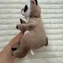Ty Beanie Baby Bellies Petey the Raccoon approx. 6 Inch Plush Used Please see pictures Image 3