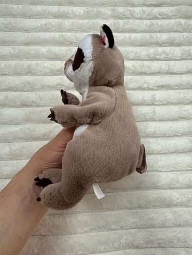 Ty Beanie Baby Bellies Petey the Raccoon approx. 6 Inch Plush Used Please see pictures