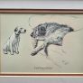 3 x Vintage Cecil Aldin prints, Terrier & Irish Wolfhound Image 3