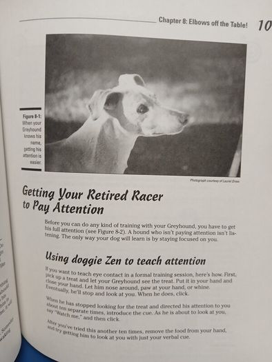 Retired Racing Greyhounds for Dummies