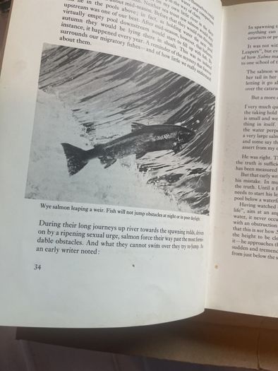 Salmon Fishing: A Practical Guide Hardcover High Falkus