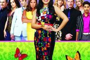 Ugly Betty Complete Collection DVD Seasons 1-4