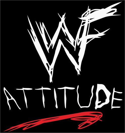 Vintage WWF (WWE)New York Attitude era t-shirt