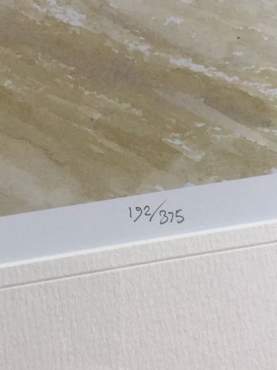 Roy Barret Limited edition water colour print