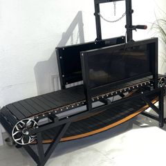 Dog Treadmill