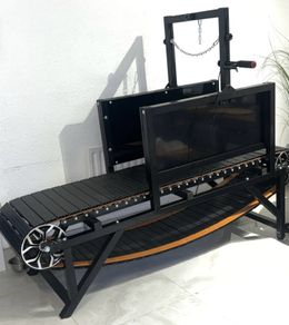 Dog Treadmill