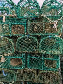 Prawn / green crab pots,  for sale