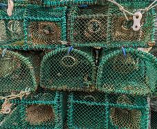 Prawn / green crab pots,  for sale