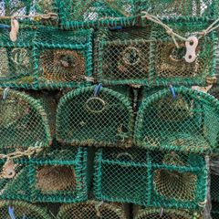 Prawn / green crab pots,  for sale