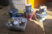 Paint
