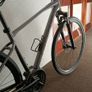 Giant Hybrid 2 Image 2