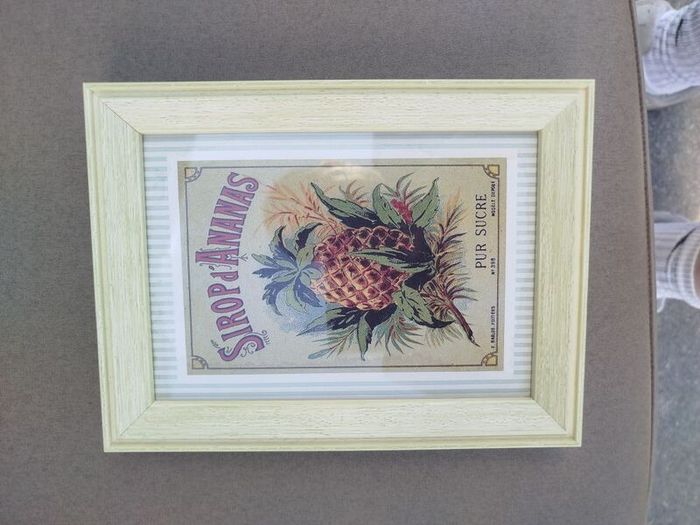 Set of 3 Vintage French Botanical / Botanical Beverage Framed Prints (Pineapple, Apricot, Anisette)