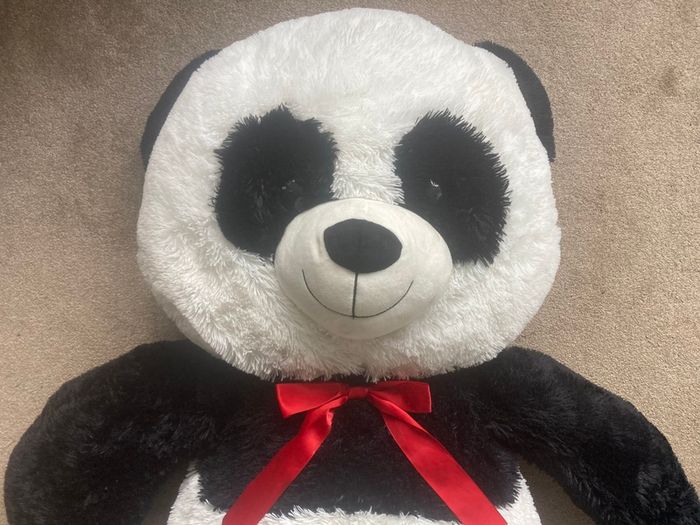 Giant Teddy Brand New 150cm