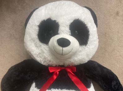 Giant Teddy Brand New 150cm